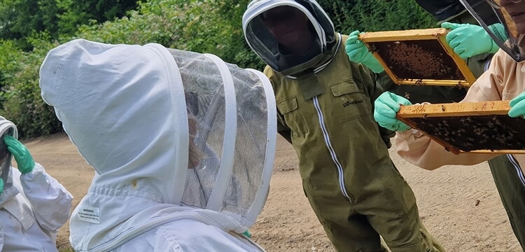 2 Day Weekend Beekeeping Course Surrey