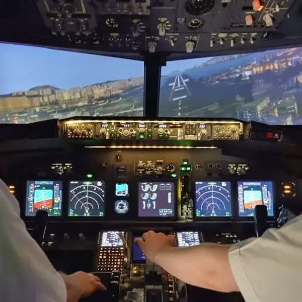 737-800 Jet Airliner Flight Simulator