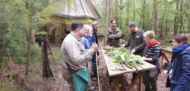 Autumn Wild Foraging Course East Sussex