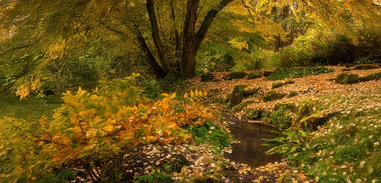 Batsford Arboretum Photography Workshops