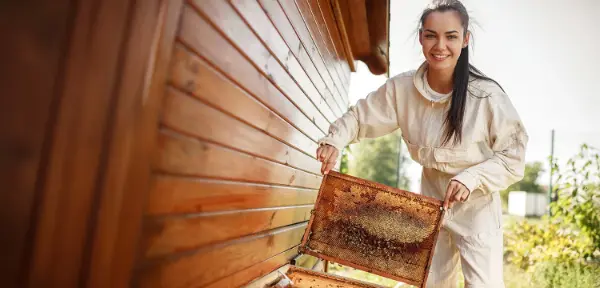 Bee Keeper for a Day