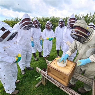 Beekeeping in Devon