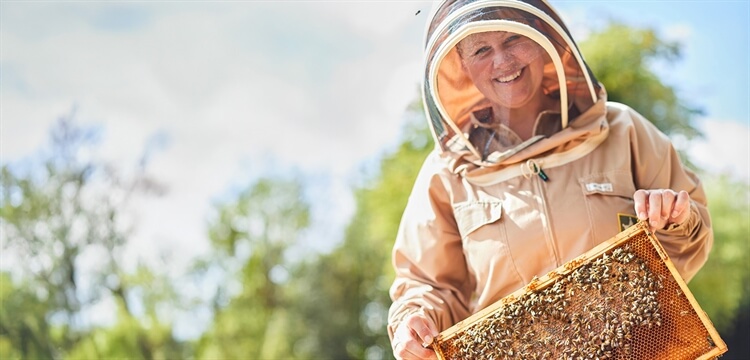 Beekeeping Suffolk/Norfolk Border