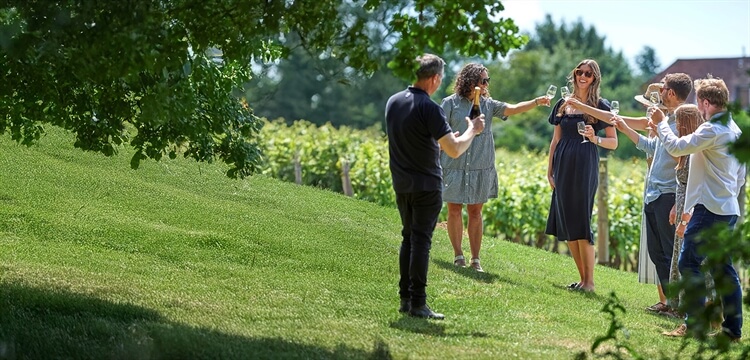 Chapel Down Vineyard Guided Tour & Tasting for Two