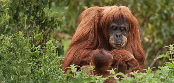 Chester Zoo Photography Day