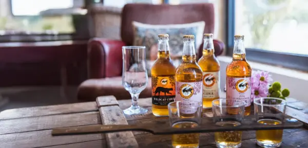 Cider Farm Tour & Tasting for Two Dorset