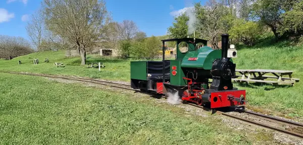 Drive a Train at Sherwood Forest