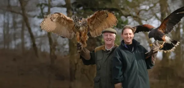 Falconry at Hatton Country World Warwick