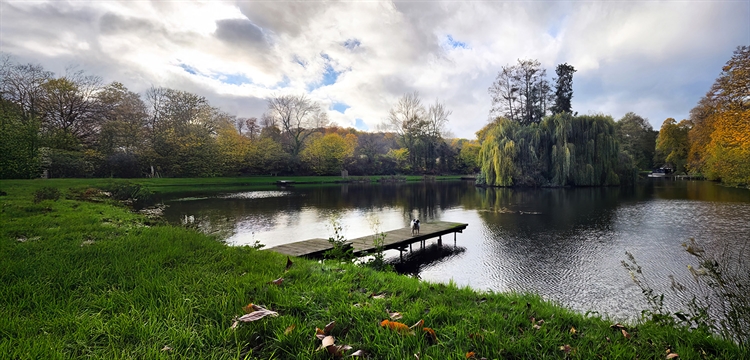 Fly Fishing Surrey