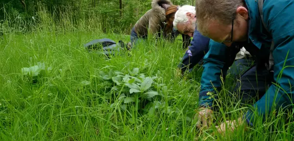 Foraging Adventure Oxfordshire