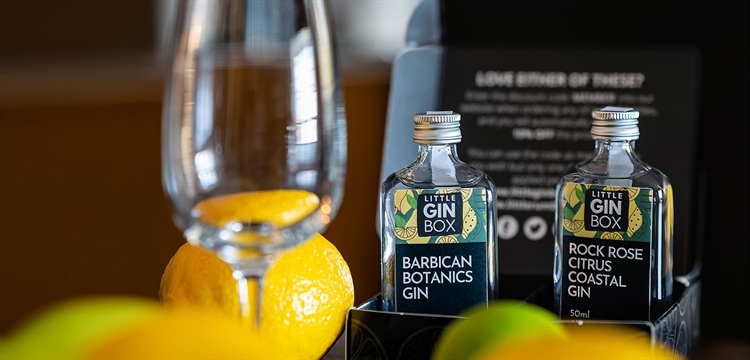 Gin Subscription with Little Gin Box