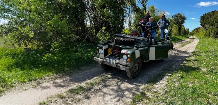 Green Lane Military Vehicle Driving Salisbury