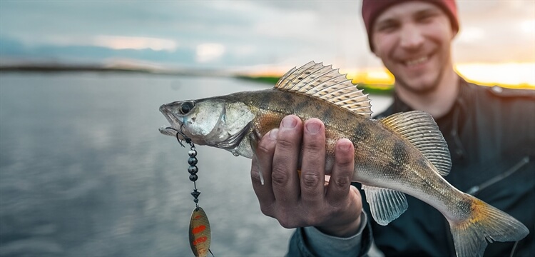 Guided Shore Fishing Experience Cornwall