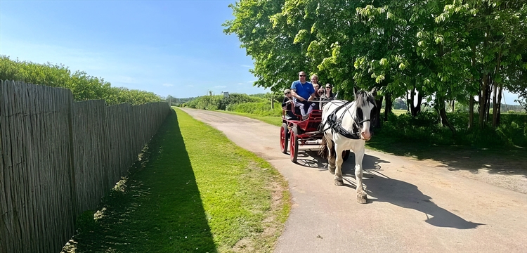 Horse Drawn Carriage Rides & Afternoon Tea Yorkshire