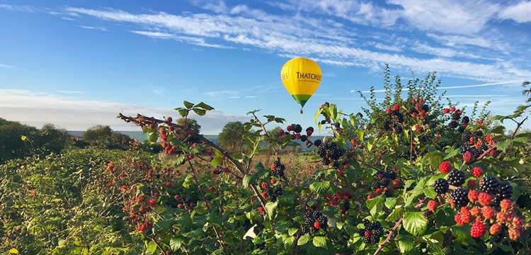 Hot Air Balloon Rides Bath