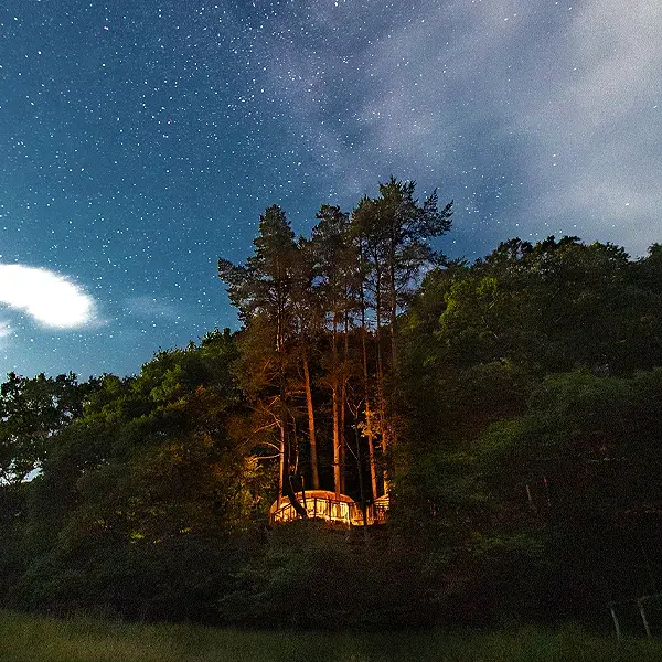 Luxury Tree House Break