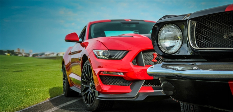 Mustang Enthusiast Experience