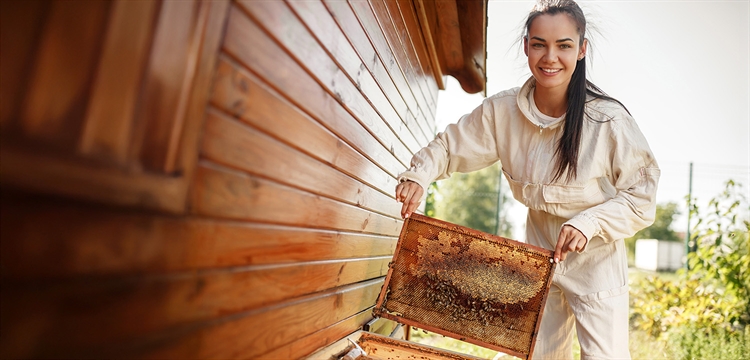 Natural Beekeeping with Philip Chandler