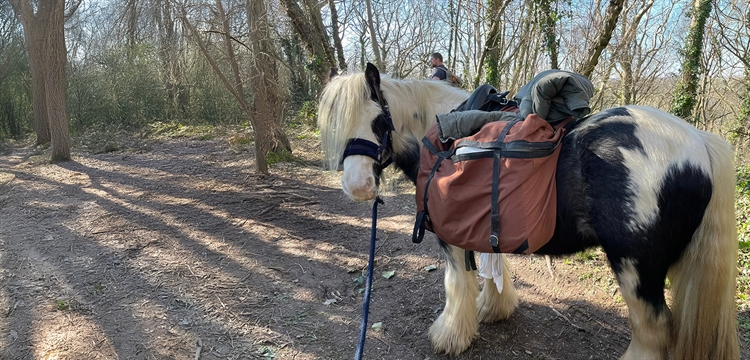 Overnight Pack Pony Adventure for Two