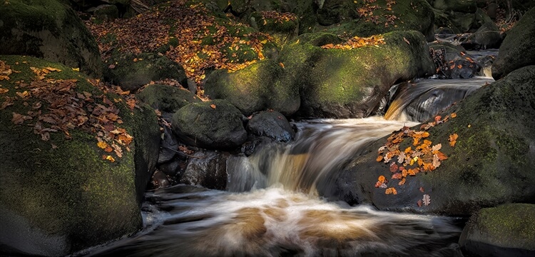 Peak District Photography Workshops