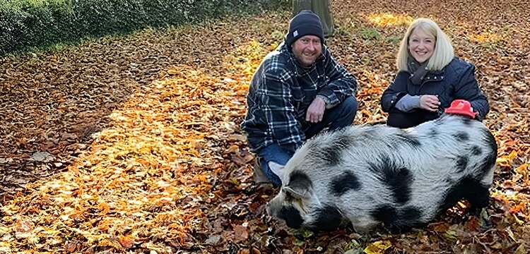 Pig Experience in Norfolk for Two