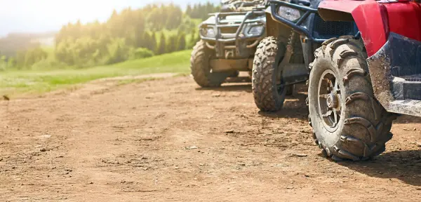 Quads in Dorset