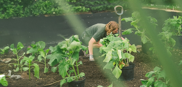 Raymond Blanc Gardening School: The Edible Garden