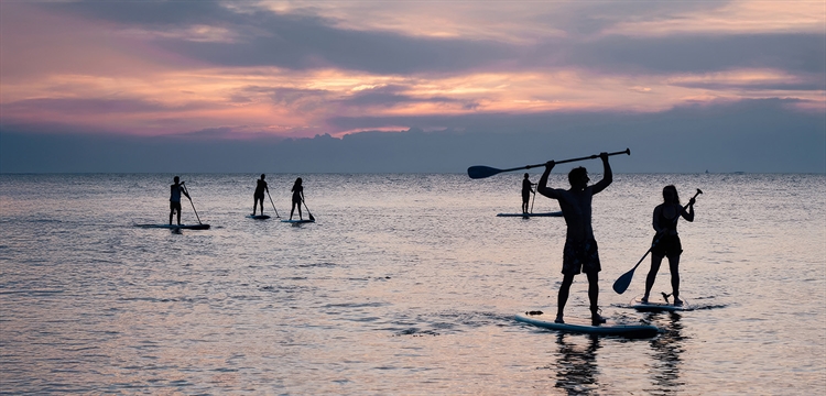 Sea Paddleboarding Adventure Brighton