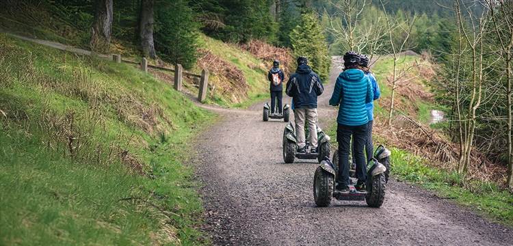 Segway Thrill in Ware