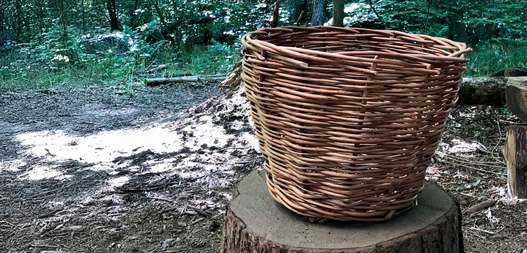 Traditional Basket Weaving Courses Surrey