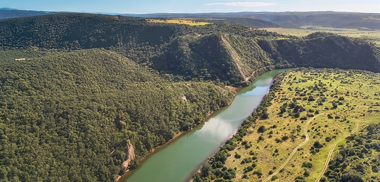 Wildlife Safari Remote Drone Experience