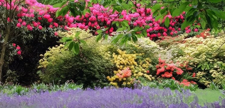 Swinton Estate Garden Tour & Lunch